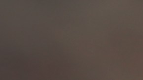 Se roba la atención de festival escolar del Día del Padre al realizar pasos "prohibidos" de baile