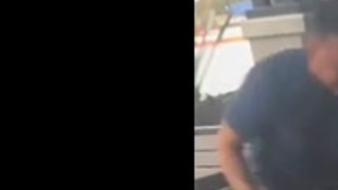 pitbull ataca a chihuahua (1)