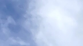 precio-de-la-gasolina