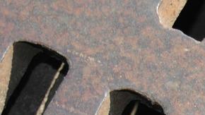 El pequeño "Joe" fue encontrado en una alcantarilla de Oldenburg.