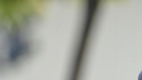¿Todavía vale la pena usar mascarillas contra el Covid-19?