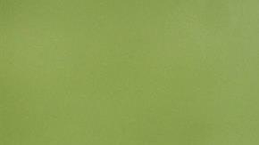 El brasileño llegó desde el pasado viernes a México y ya fue presentado por el club.