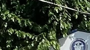 Entrada de Rikers Island.