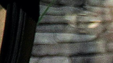 La primera actriz Susana Dosamantes falleció el pasado 2 de julio.