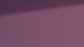 El cantante Nicky Jam aparentemente ya no seguiría estando soltero.