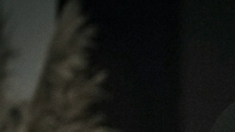 Pablo Montero dándole vida a Vicente Fernández, en la serie producida por Juan Osorio.