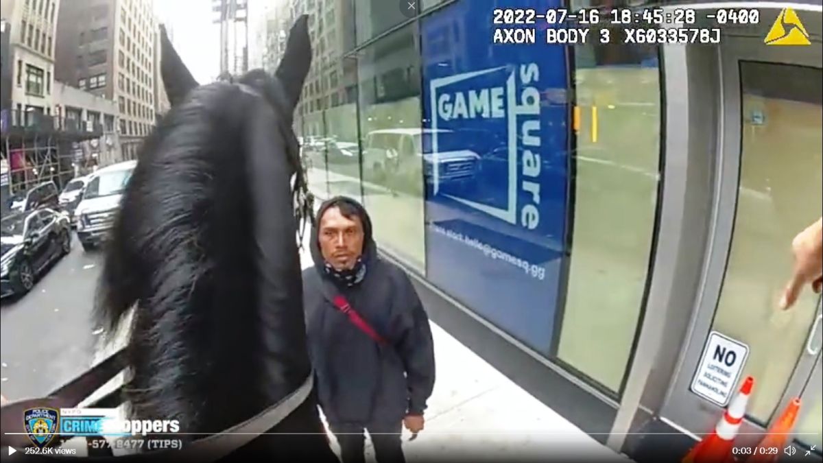 El sospechoso frente al caballo NYPD.