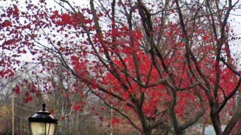 Entrada a "The Mansion at Glen Cove", Long Island, NY.