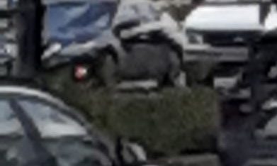 Policía de tránsito NYPD/Archivo.