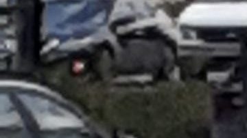 Policía de tránsito NYPD/Archivo.