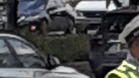 Policía de tránsito NYPD/Archivo.