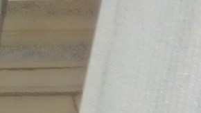 En las calles de la ciudad de Nueva York asociaciones empresariales y comunitarias exigen que se eliminen los cargos al bodeguero dominicano.