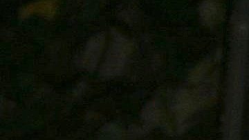 Alicia Machado aseguró que está en "el derecho de opinar lo que se me da mi regalada gana" sobre 'LCDLF2'