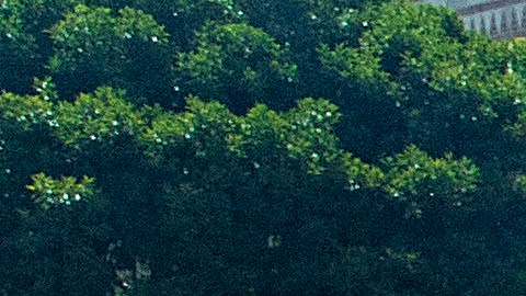 Karim Benzema declinó seguir de vacaciones y se incorporó de inmediato a los entrenamientos del Real Madrid en Los Angeles.