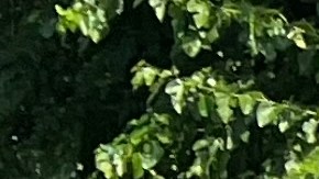 Entrada de la cárcel Rikers Island, NYC.