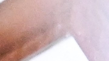 Abogados de Brittney Griner aplauden que se haya declarado culpable