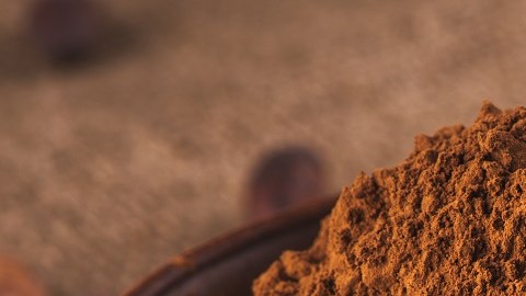 Cacao en polvo
