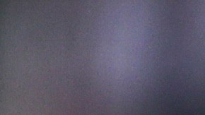 Chicharito Hernández, Carlos Vela y otros nueve latinos lideran el Juego de Estrellas de la MLS