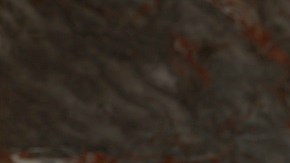 Devin Haney Visits The Empire State Building