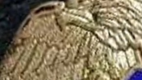 Los agentes de ICE podrían detener a cualquier inmigrante indocumentado.