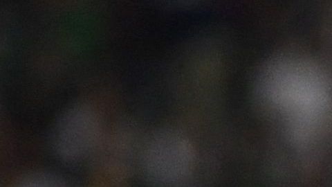 Uruguay envió peculiar regalo a Qatar que podría ser un talismán en el Mundial