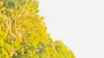 Camrynn Ray McMichael