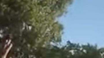 La policía de Florida arrestó a dos niños que jugaban con un arma cargada