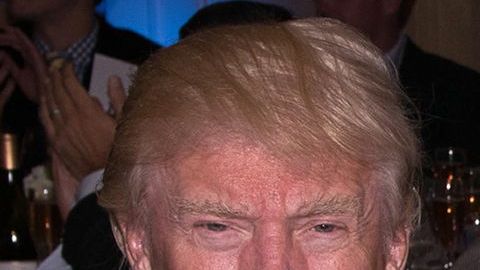 Ivana Trump