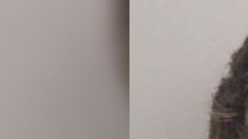 William Micah Hester