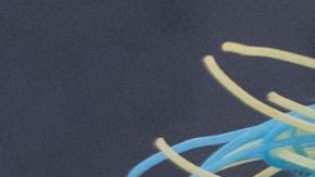 Familia pide a Plaza Sésamo que despida al personaje Rosita tras negar saludo a niñas afroamericanas