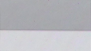 Gana fuerza la idea de que Elon Musk cancelará la compra de Twitter