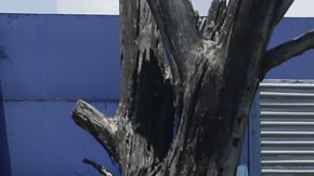 Comisión normalizadora toma las riendas de Federación Salvadoreña de Fútbol