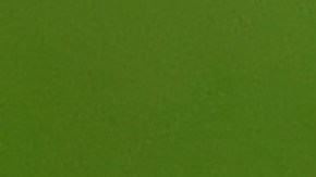 Futbolista brasileño arrestado tras arrollar a un motociclista