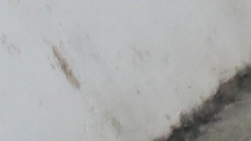 Migrantes nicaraguenses.