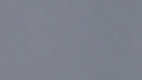 Ricky Martin niega la afirmación 'repugnante' de que tuvo una relación sexual o romántica con su sobrino.