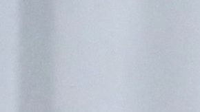 Viktor Medvedchuk y Vladimir Putin.