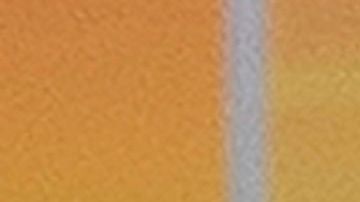 Joey Chestnut también es dueño de otros récords mundiales en competencias de 'hot dogs' o tacos.