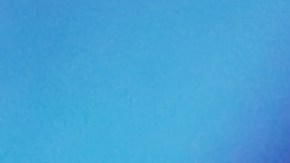 Democratic Presidential Candidates Attend "Union For All" Summit In Los Angeles