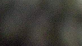 El niño fue atacado por una serpiente de cascabel cerca de Colorado Springs.