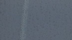 Camrynn murió camino al hospital.