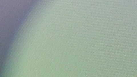 Rusia encontró 46 casos en los que se había violado la ley de datos personales el año pasado.