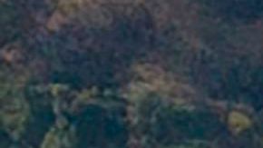 Warner Bros. Studios presenta un importante aumento de casos de Covid-19.