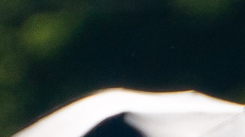 Brett Rosenau murió como resultado de la inhalación de humo.