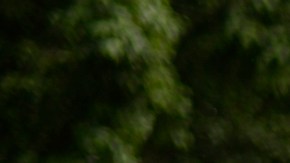 Capturan a presunto "coyote" con 49 indocumentados de Cuba y Georgia en Guatemala