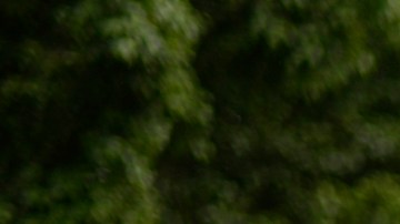 Capturan a presunto "coyote" con 49 indocumentados de Cuba y Georgia en Guatemala