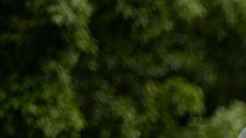 Capturan a presunto "coyote" con 49 indocumentados de Cuba y Georgia en Guatemala