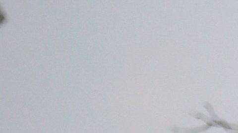 TikToker estadounidense de 21 años es violada en grupo en un hotel de Pakistán