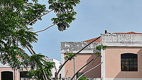 Honduras policía.