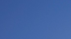 El Servicio Secreto enfrenta críticas por borrar mensajes sobre el asalto al Capitolio.