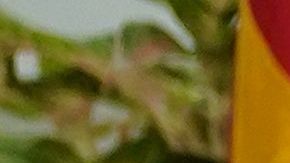 TOPSHOT-US-CHINA-DIPLOMACY